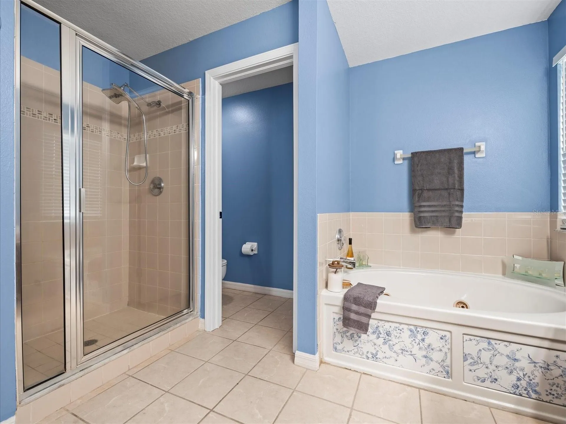 25423 Bruford Boulevard Land O Lakes FL 34639