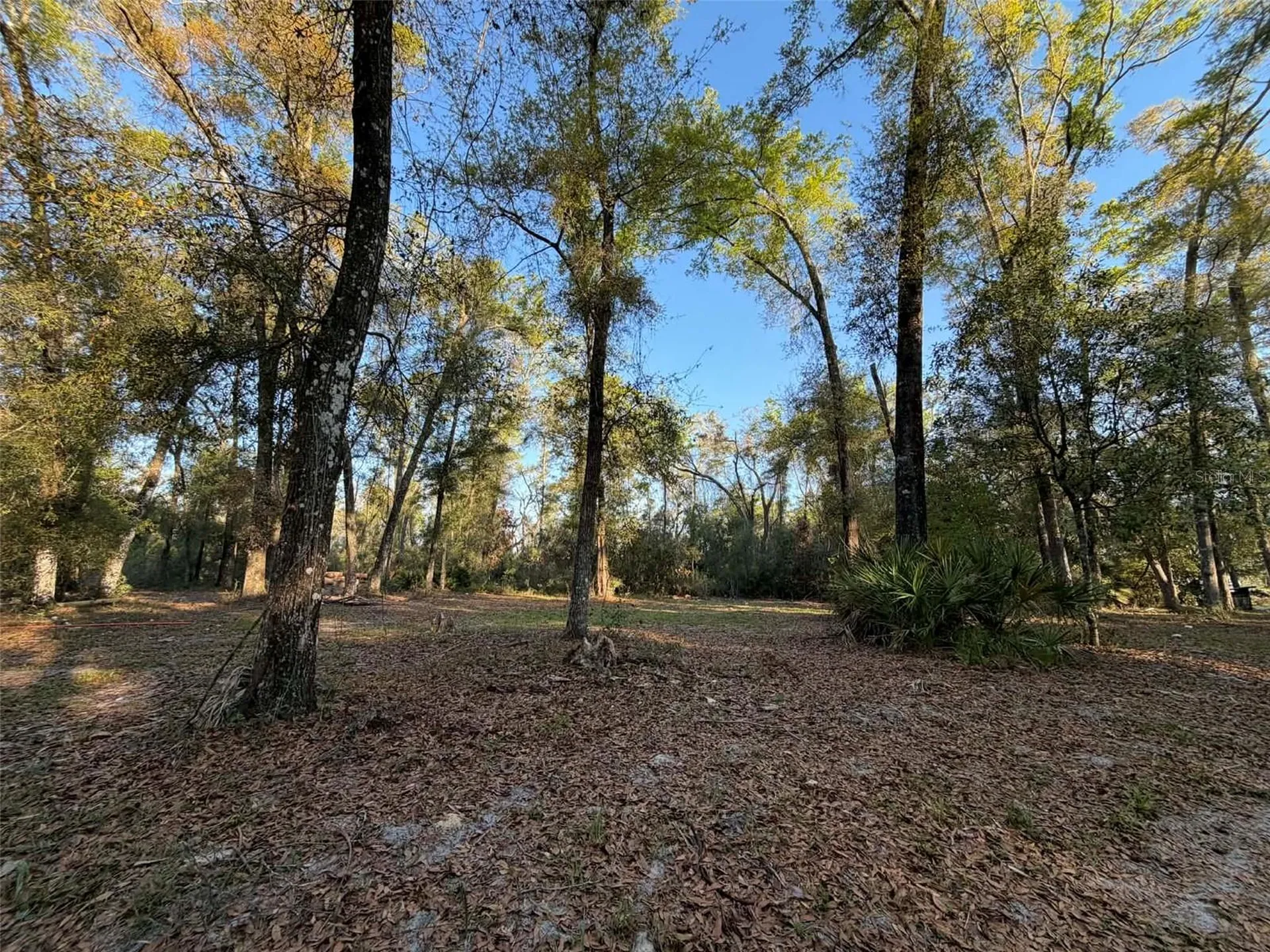 8690 NW 160th Street Trenton FL 32693