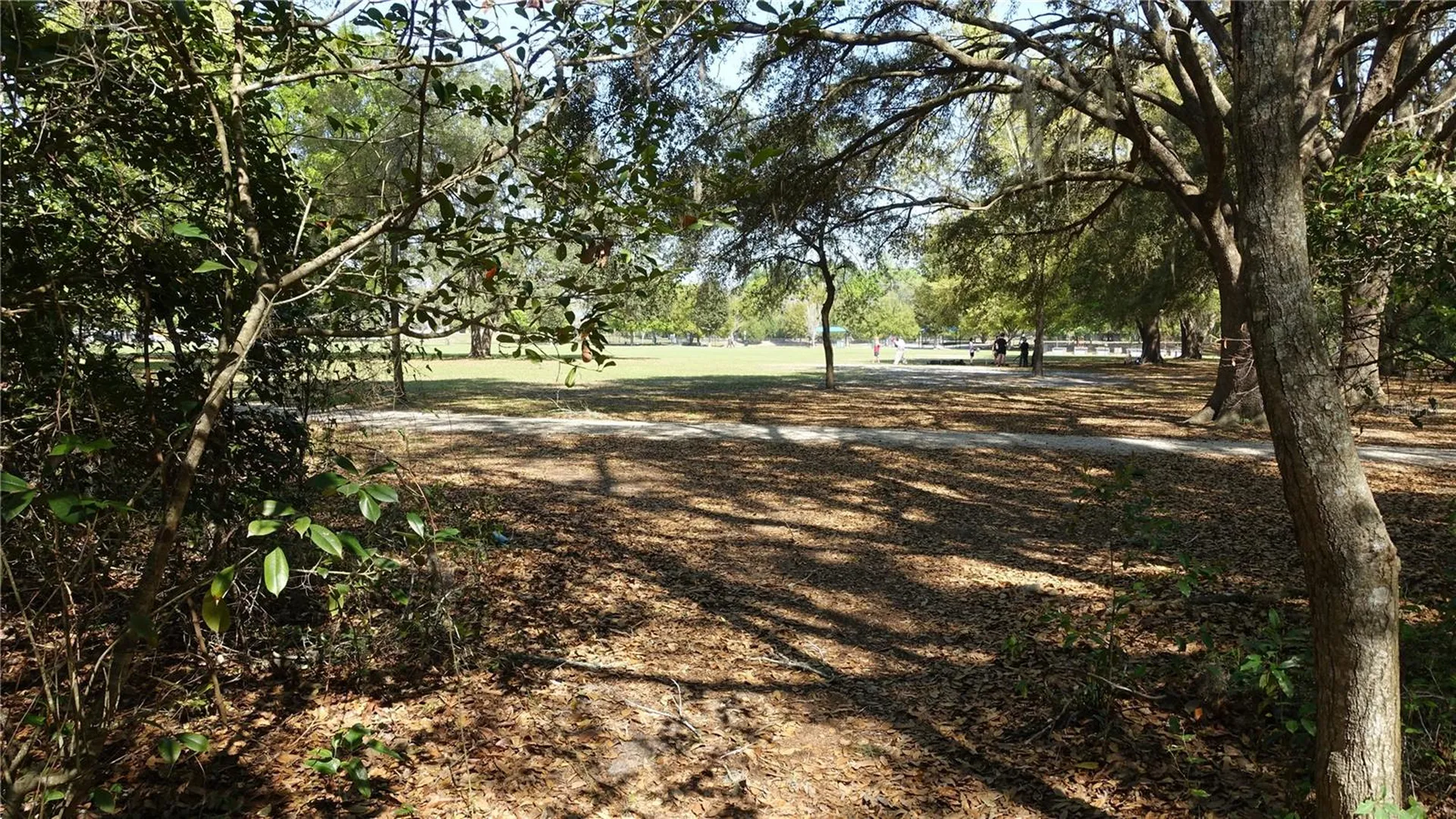 4910 NW 39th Terrace NW Gainesville FL 32606