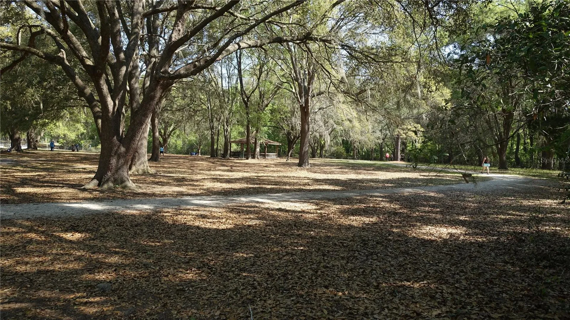 4910 NW 39th Terrace NW Gainesville FL 32606