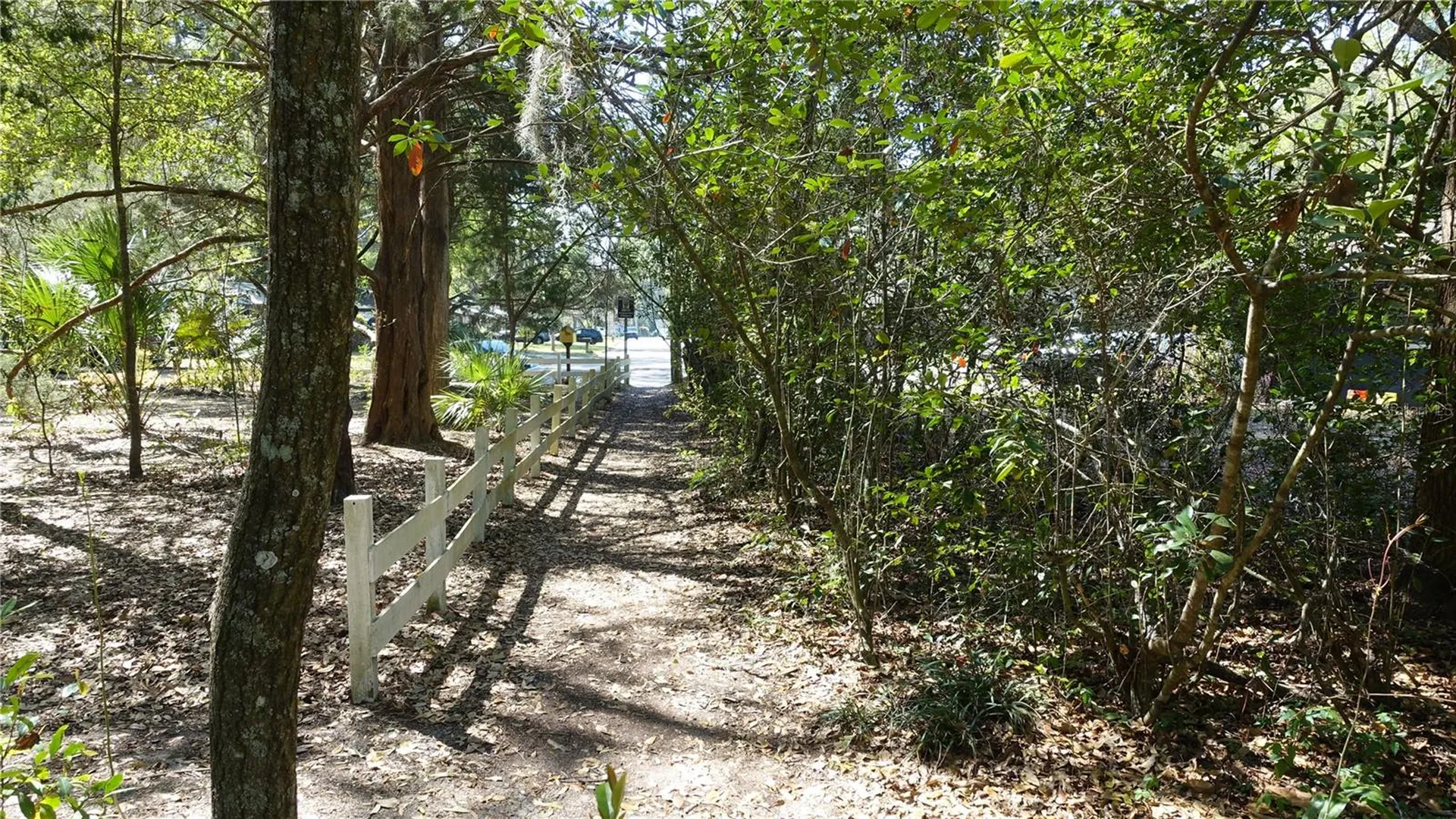 4910 NW 39th Terrace NW Gainesville FL 32606