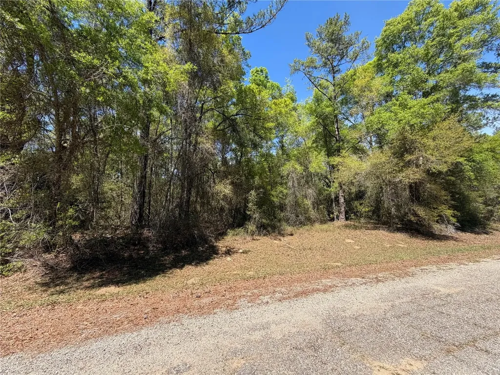 8512 N Escobar Road Dunnellon FL 34434