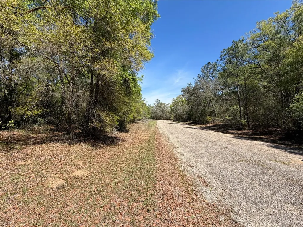 8512 N Escobar Road Dunnellon FL 34434