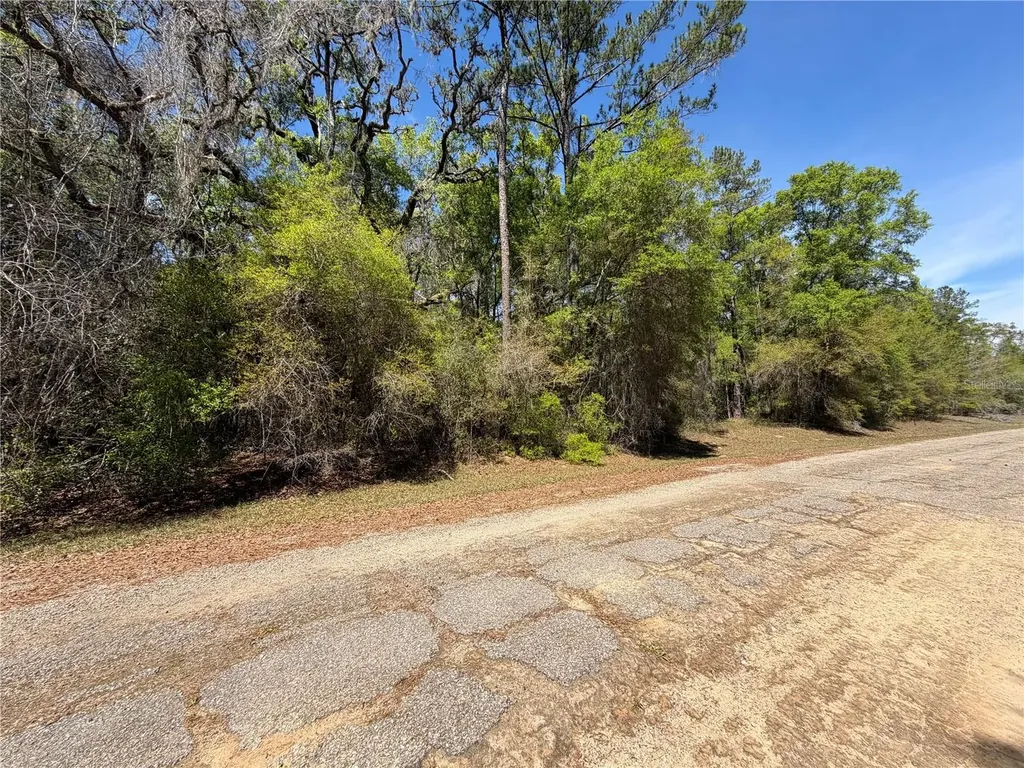 8512 N Escobar Road Dunnellon FL 34434