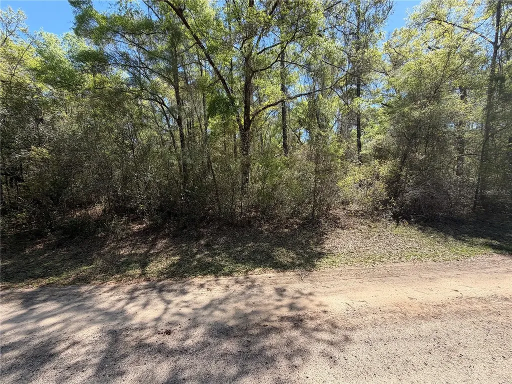 8512 N Escobar Road Dunnellon FL 34434