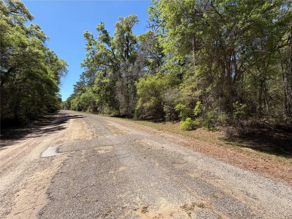 8512 N Escobar Road Dunnellon FL 34434