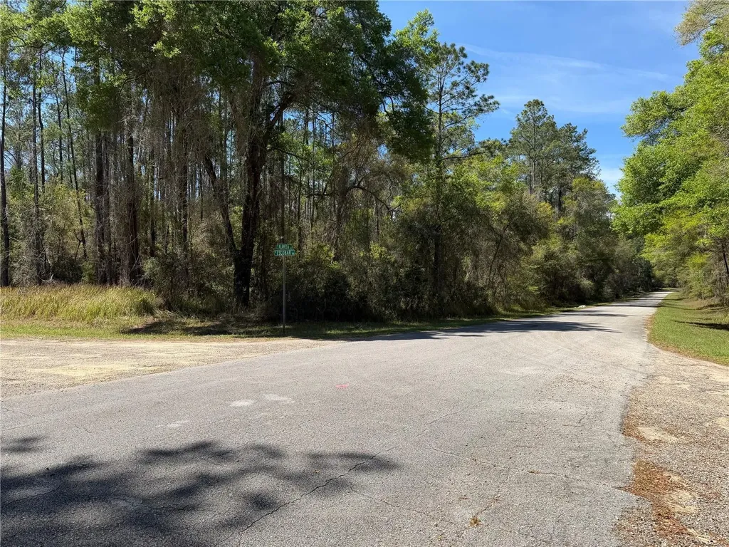 8512 N Escobar Road Dunnellon FL 34434