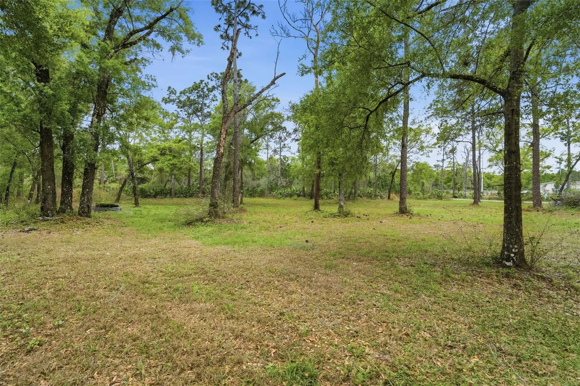 2110 E Kicklighter Road Lake Helen FL 32744