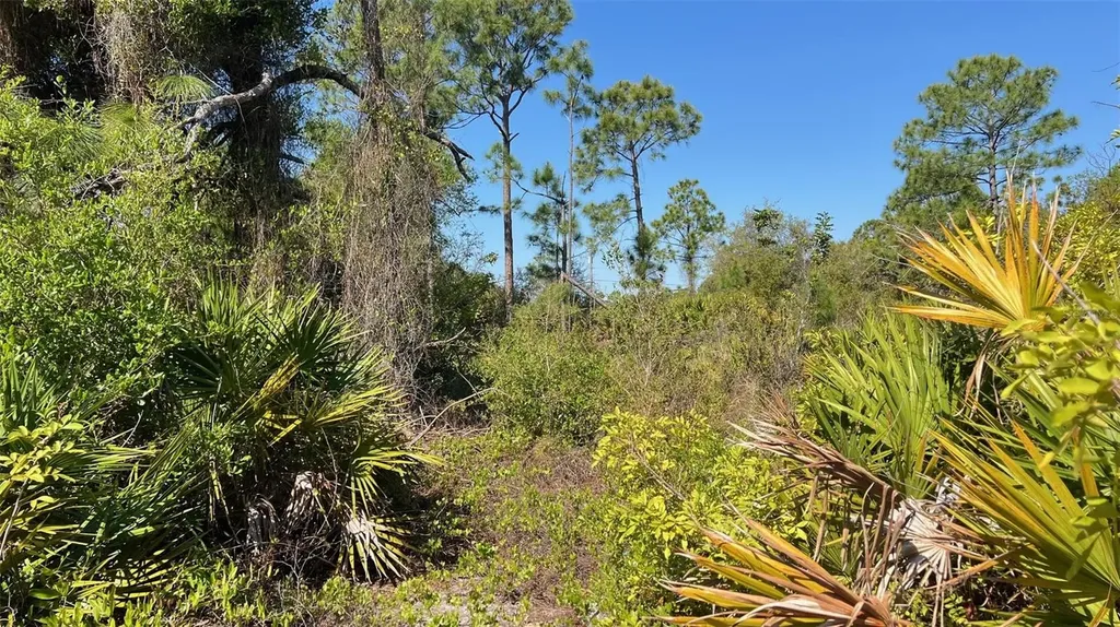 4397 Kennel Street Port Charlotte FL 33981
