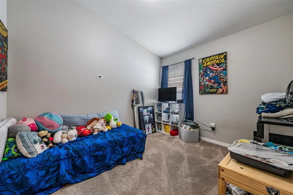 18955 Wood Sage Drive Tampa FL 33647
