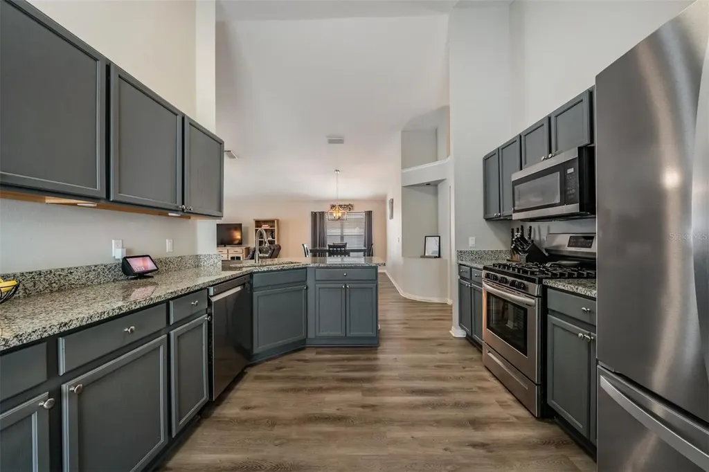 18955 Wood Sage Drive Tampa FL 33647