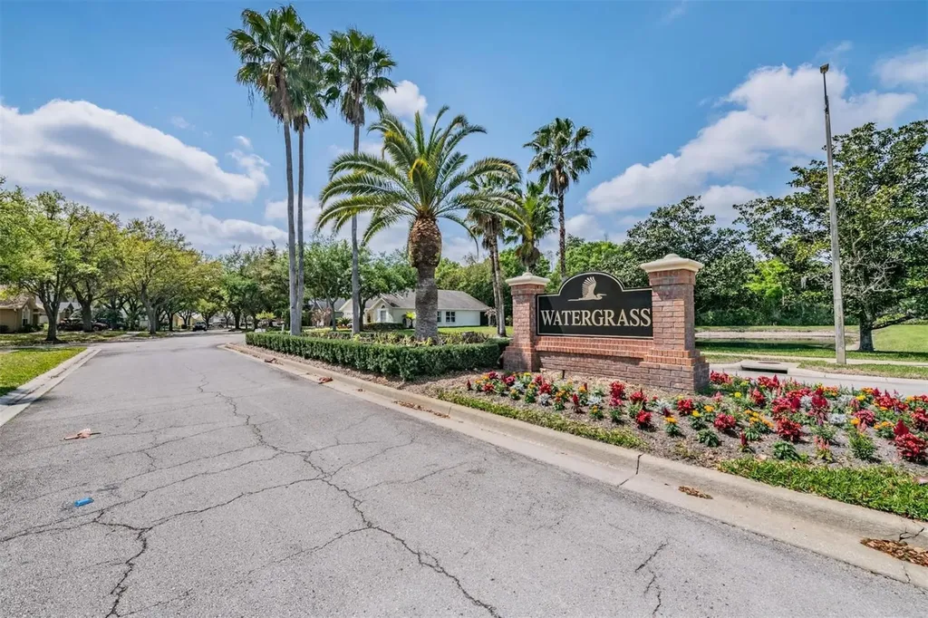 18955 Wood Sage Drive Tampa FL 33647