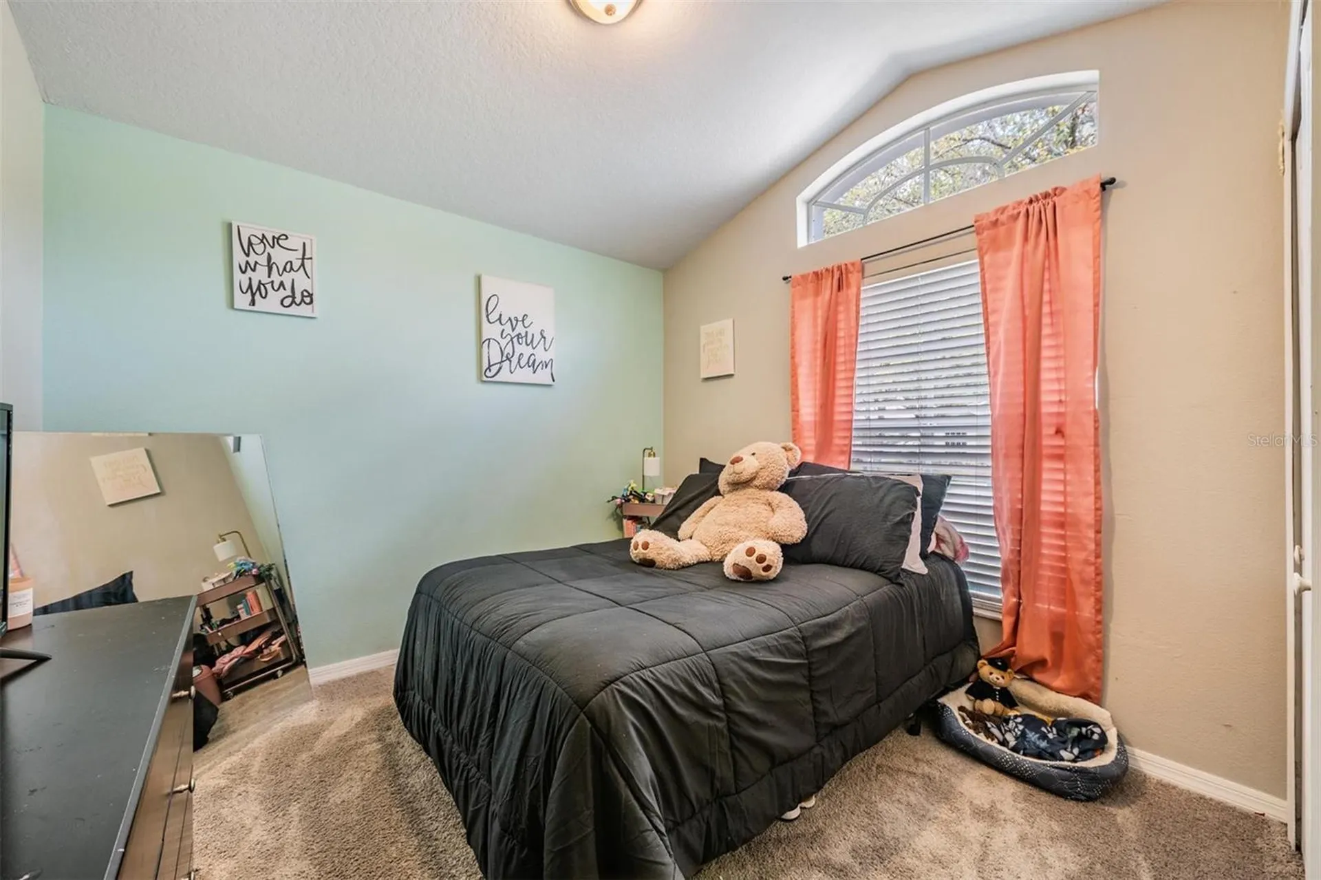 18955 Wood Sage Drive Tampa FL 33647