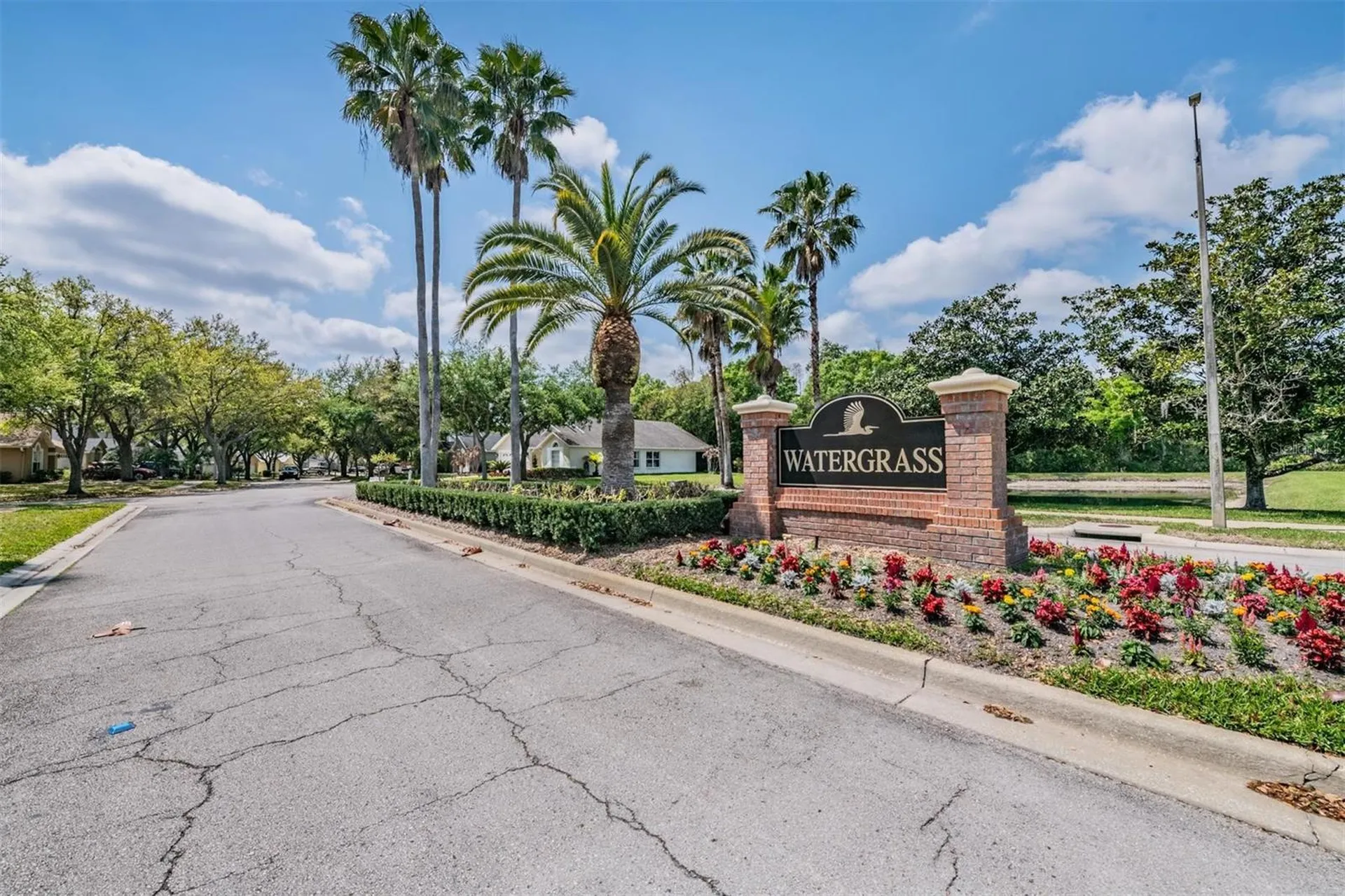 18955 Wood Sage Drive Tampa FL 33647