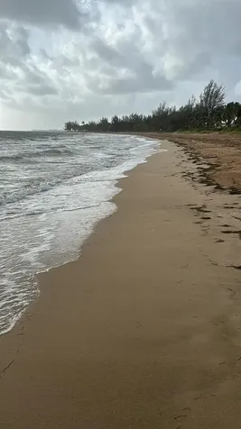 Las Picuas Beach Bo. Zorzal Orchard Rio Grande PR 00745