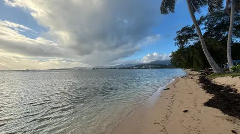 Las Picuas Beach Bo. Zorzal Orchard Rio Grande PR 00745