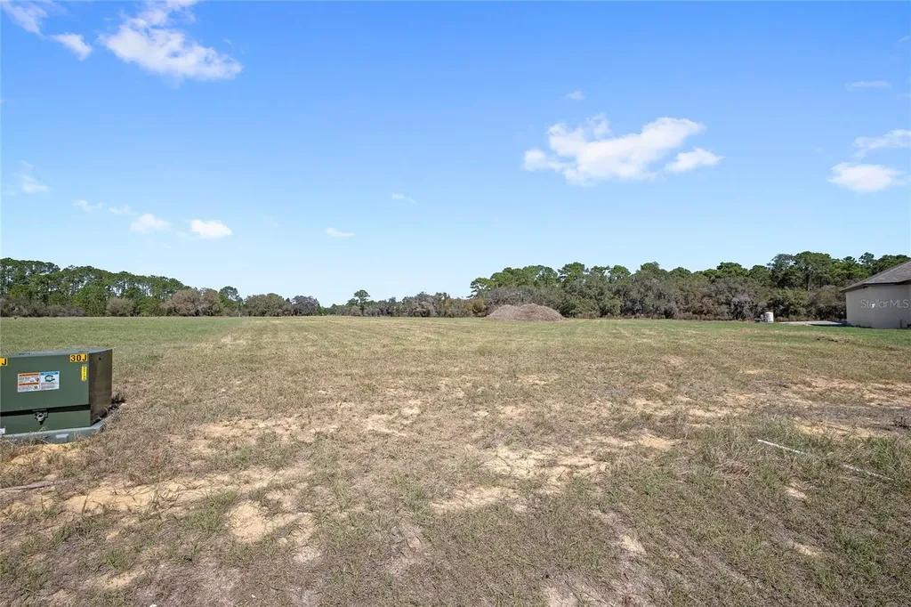 38361 Lake Meadow Court Umatilla FL 32784