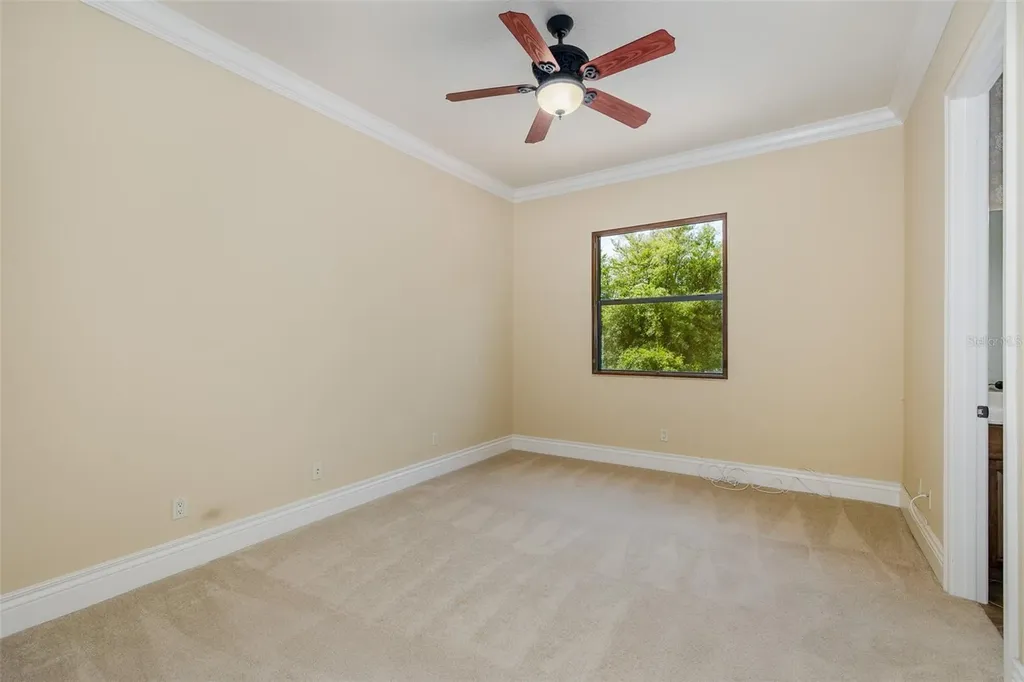 9943 Milano Drive Trinity FL 34655