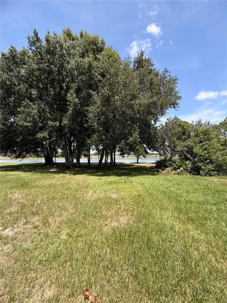295 Cobalt Drive Kissimmee FL 34758