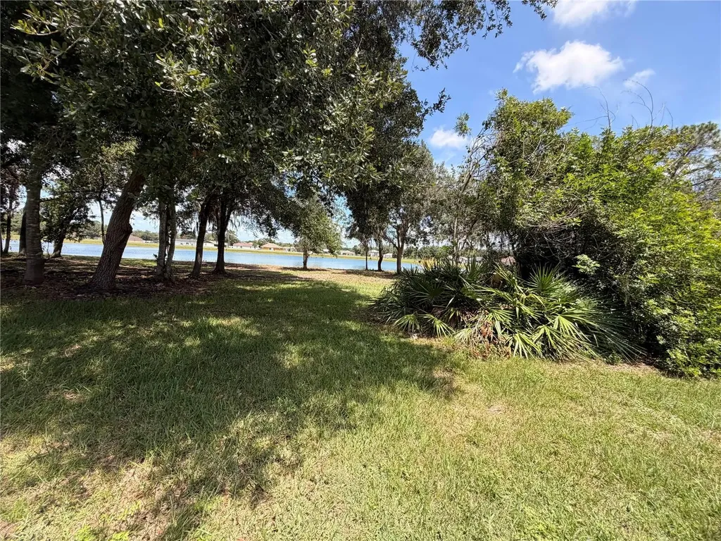 295 Cobalt Drive Kissimmee FL 34758