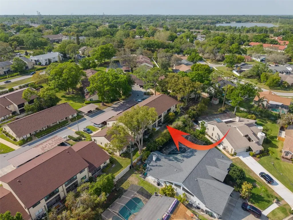 3590 Magnolia Ridge Circle Palm Harbor FL 34684