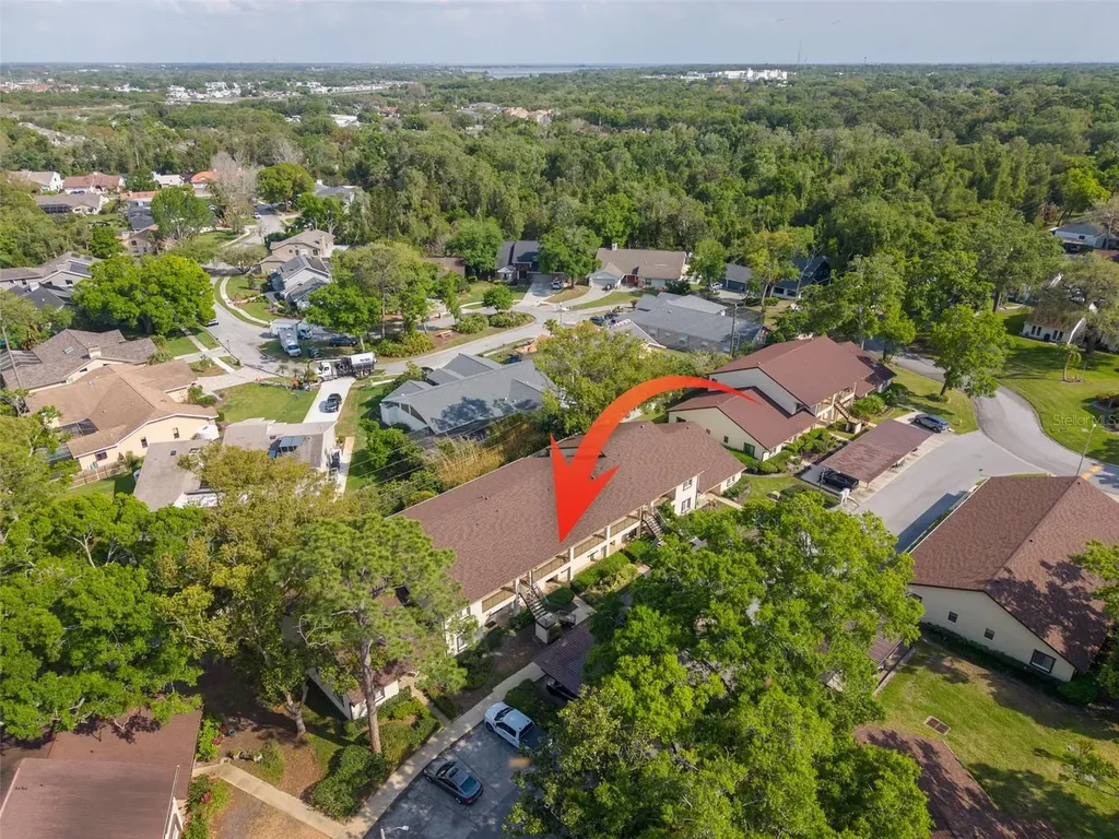 3590 Magnolia Ridge Circle Palm Harbor FL 34684