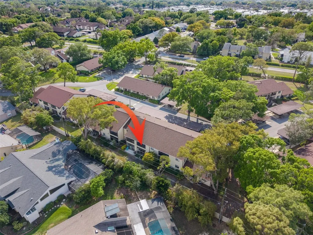 3590 Magnolia Ridge Circle Palm Harbor FL 34684
