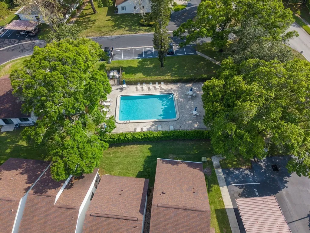 3590 Magnolia Ridge Circle Palm Harbor FL 34684