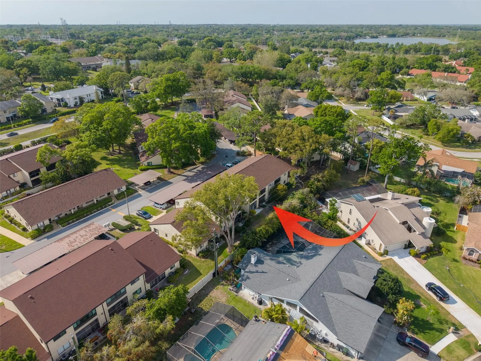 3590 Magnolia Ridge Circle Palm Harbor FL 34684