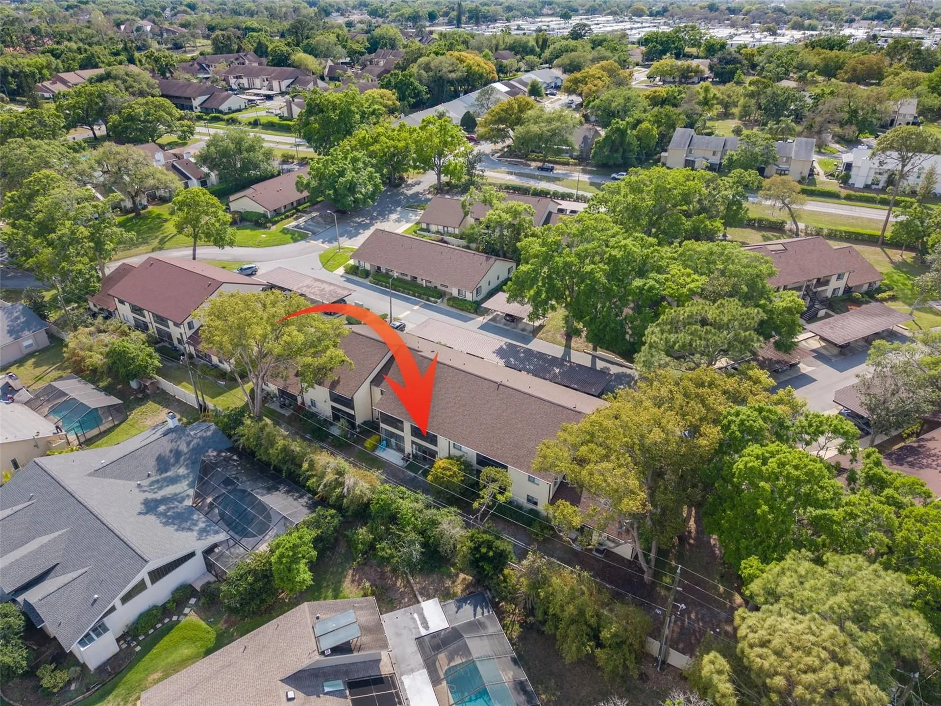 3590 Magnolia Ridge Circle Palm Harbor FL 34684