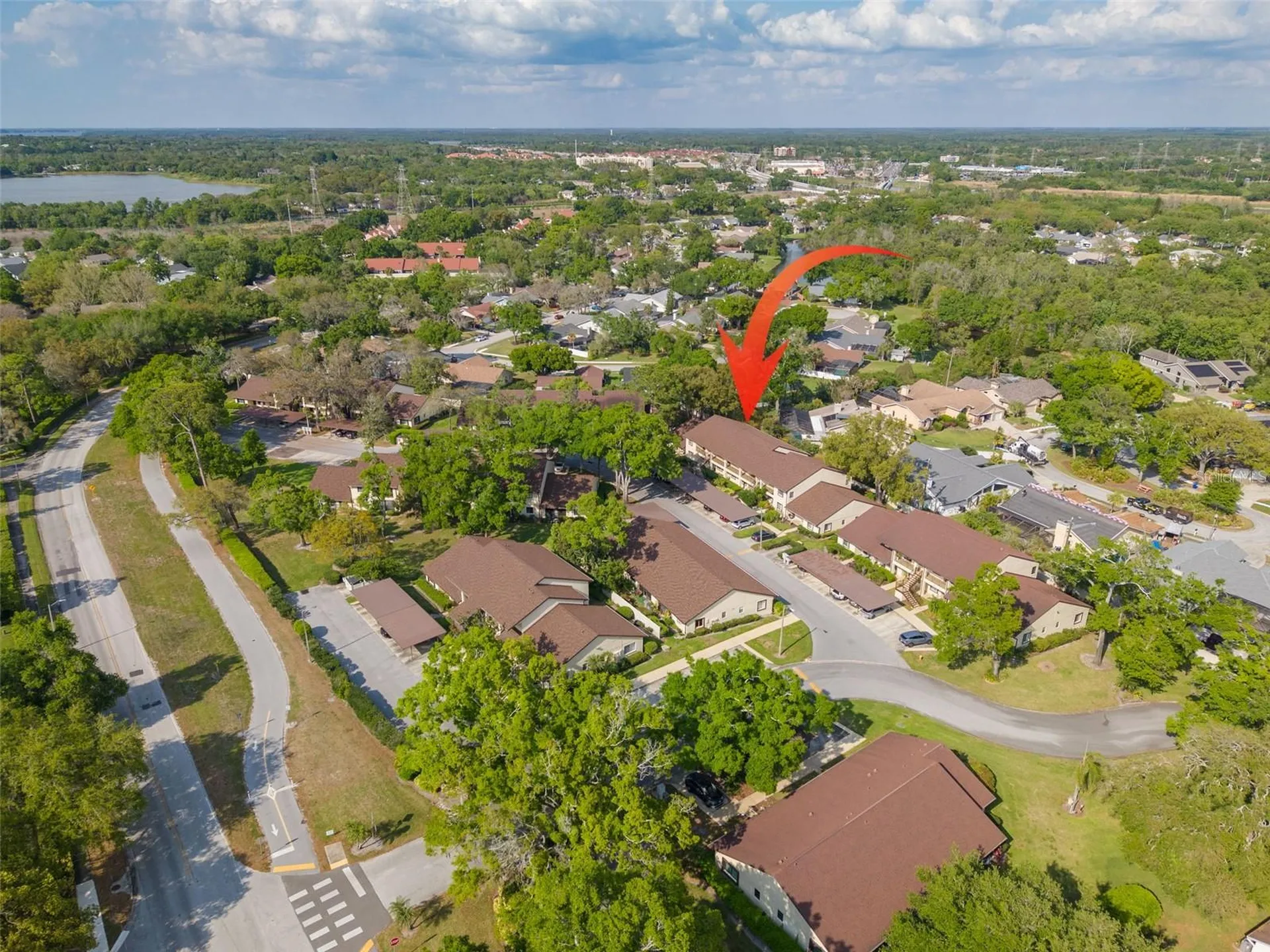 3590 Magnolia Ridge Circle Palm Harbor FL 34684