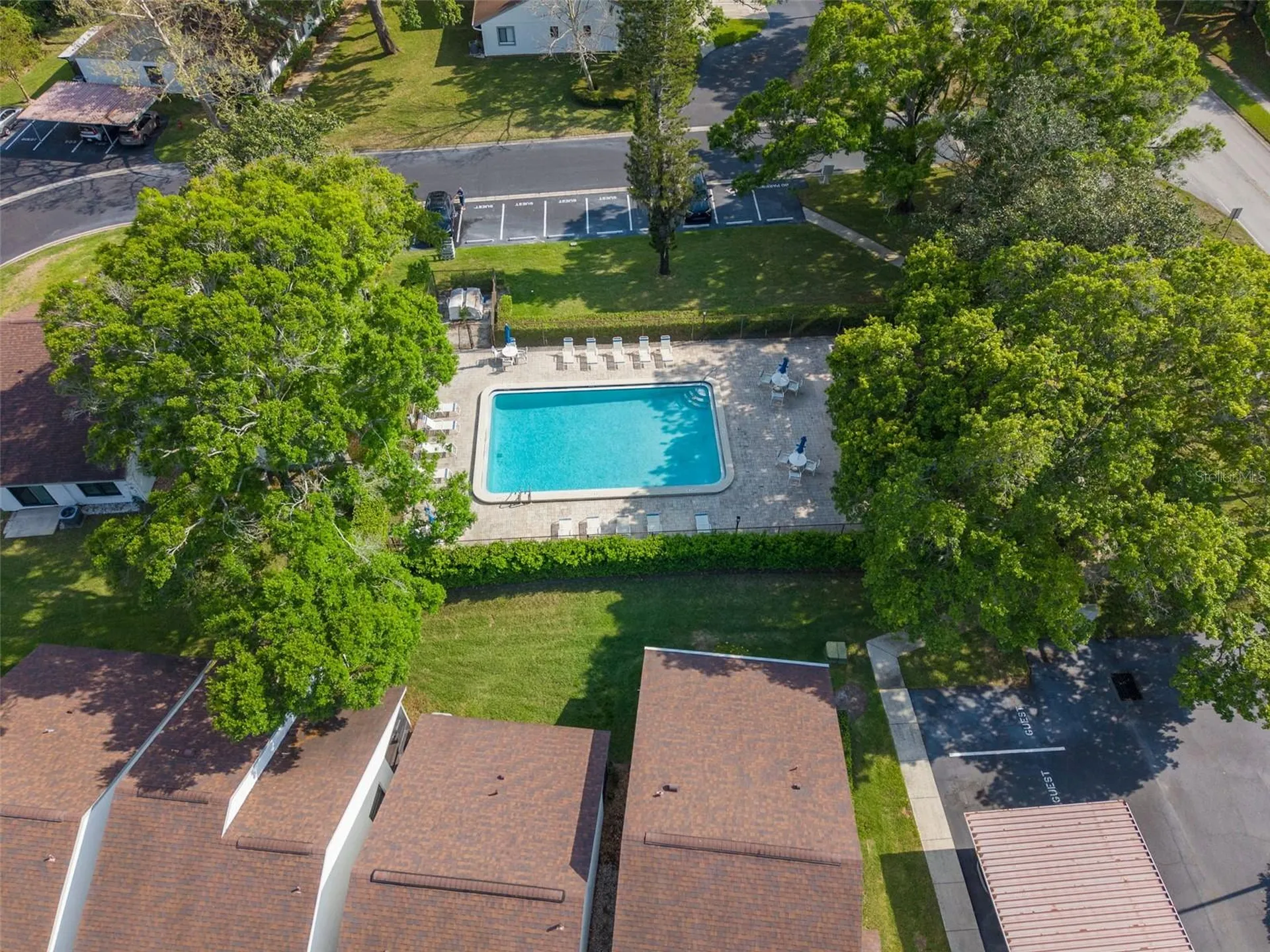 3590 Magnolia Ridge Circle Palm Harbor FL 34684