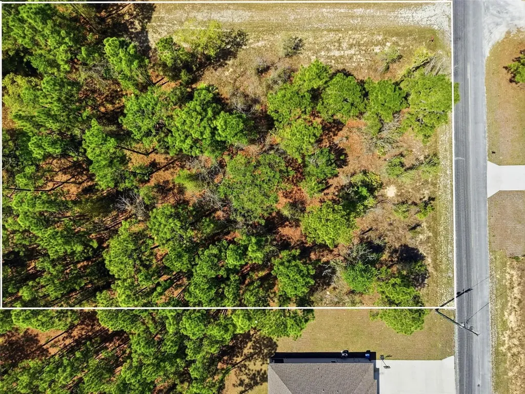 Lot 25 Thrasher Avenue Weeki Wachee FL 34614