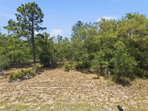 Lot 25 Thrasher Avenue Weeki Wachee FL 34614