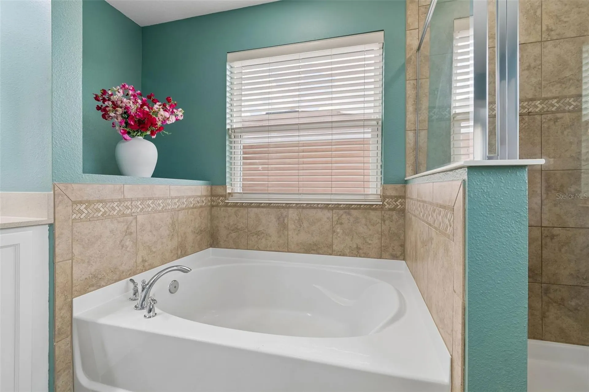 10517 Massimo Drive Wimauma FL 33598