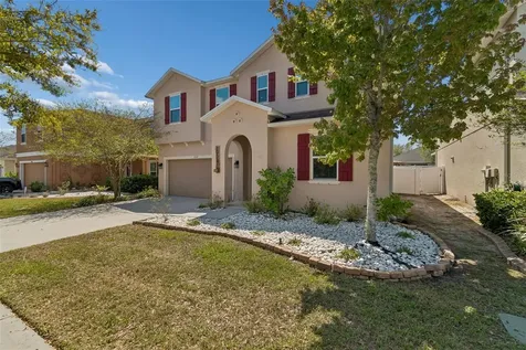 10517 Massimo Drive Wimauma FL 33598