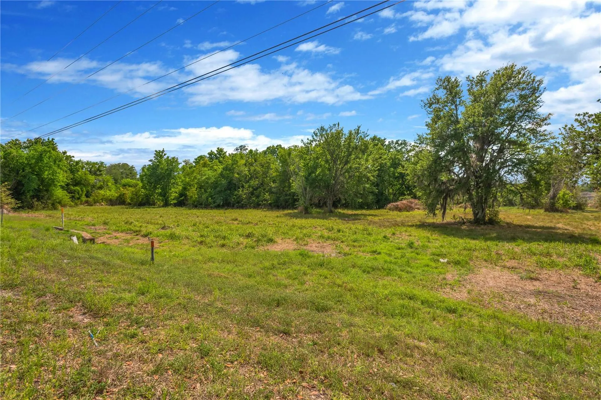 Paul S Buchman Highway Zephyrhills FL 33540