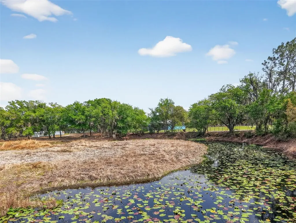 22431 Loop Road Groveland FL 34736