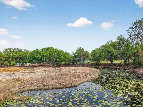 22431 Loop Road Groveland FL 34736