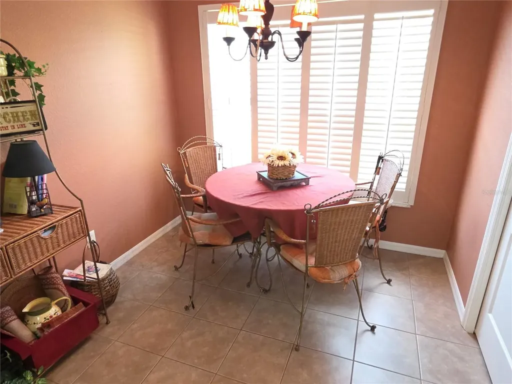 11442 Turtle Dove Place New Port Richey FL 34654