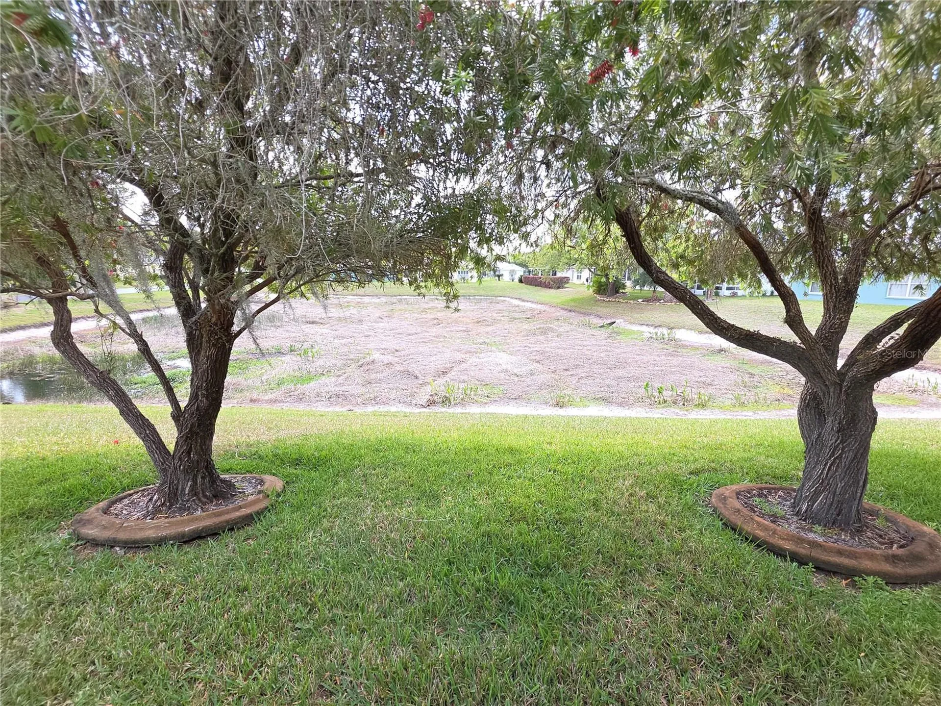 11442 Turtle Dove Place New Port Richey FL 34654
