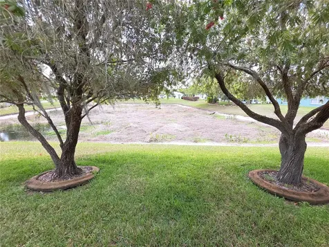 11442 Turtle Dove Place New Port Richey FL 34654