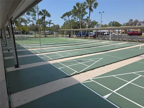 11442 Turtle Dove Place New Port Richey FL 34654