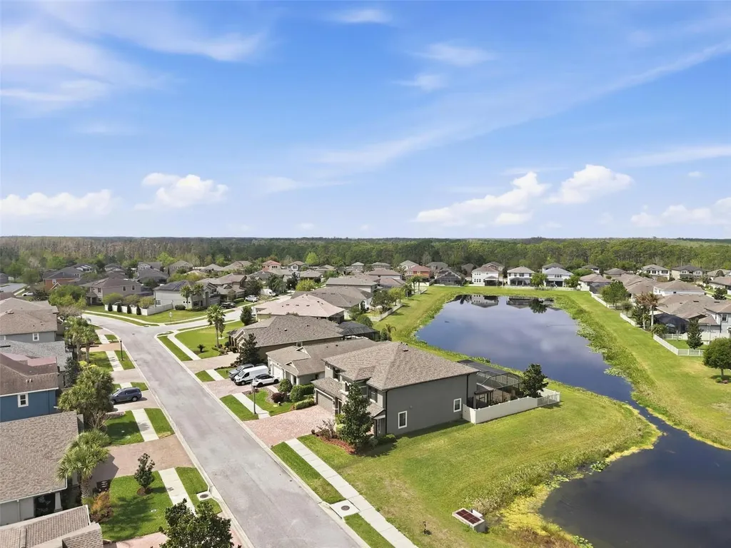 1897 Fox Grape Loop Lutz FL 33558
