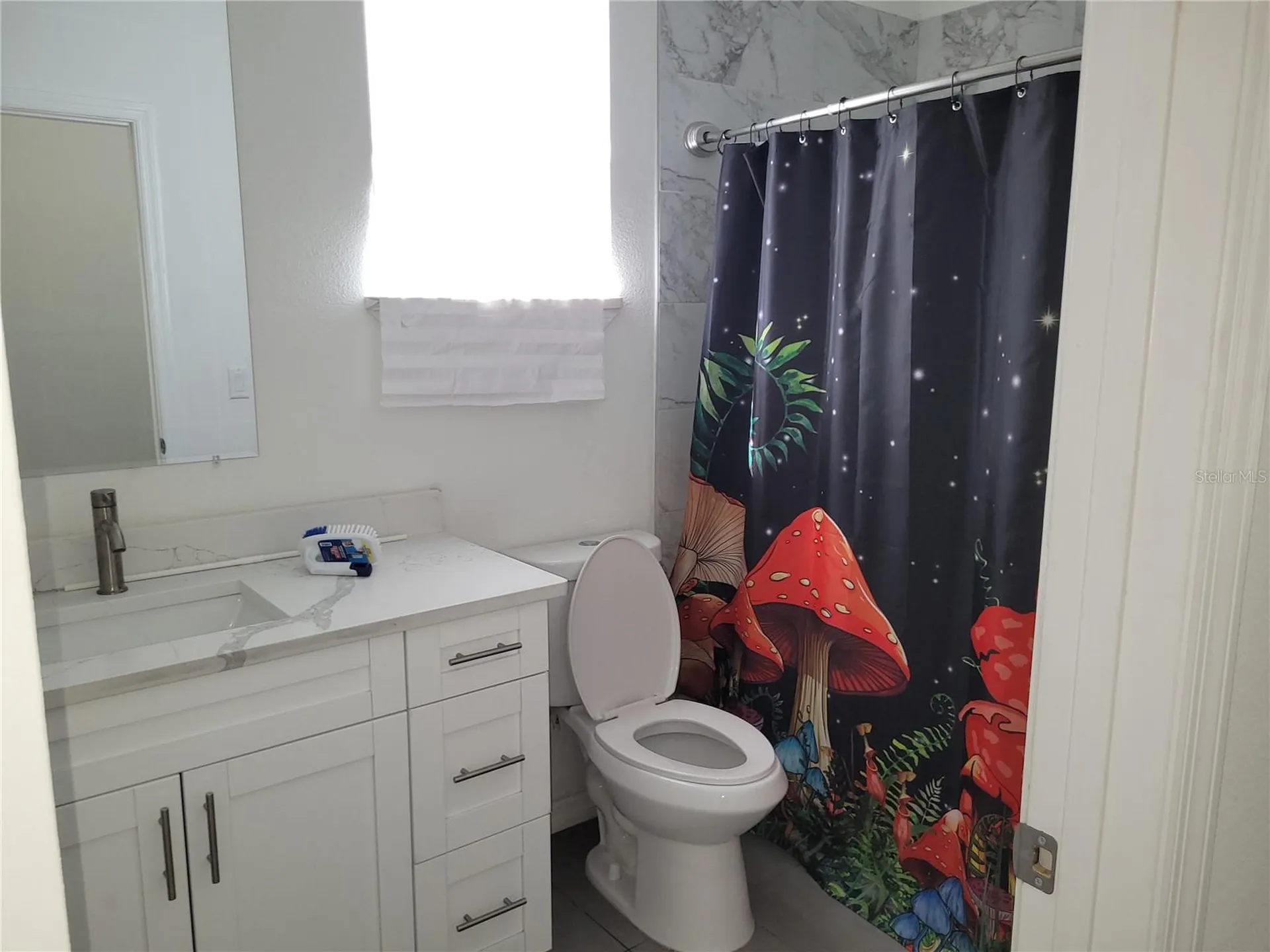 13765 SW 81st Circle Ocala FL 34473