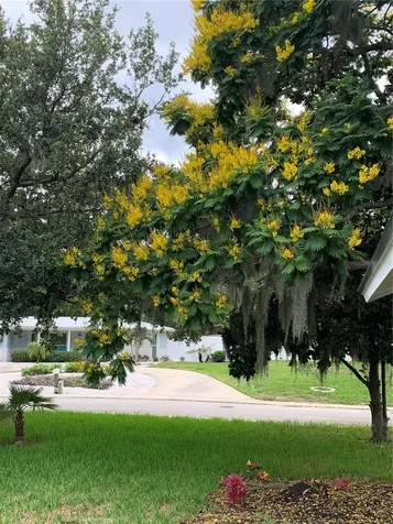 6370 Conniewood Square New Port Richey FL 34653