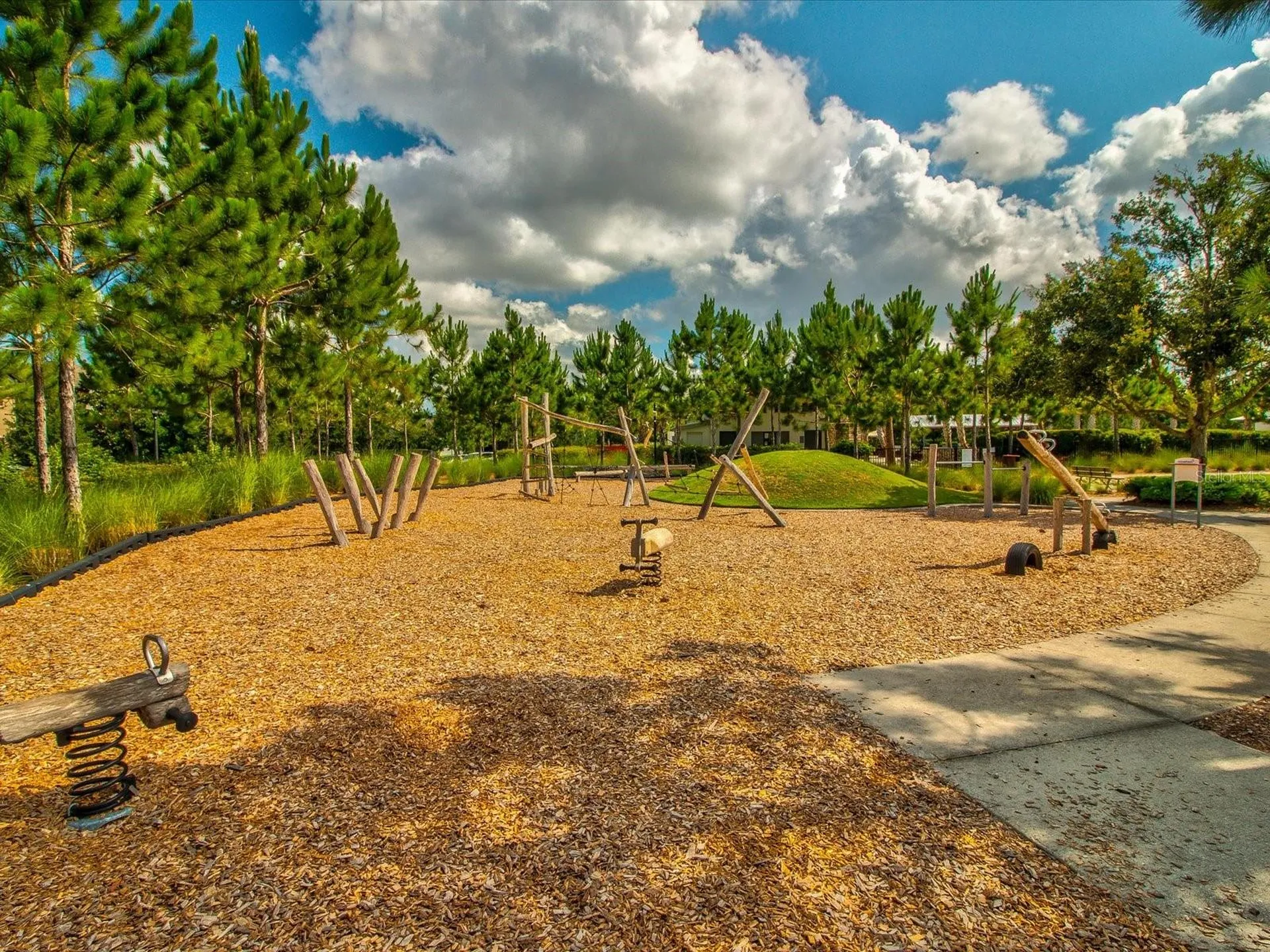 12308 Rangeland Boulevard Odessa FL 33556