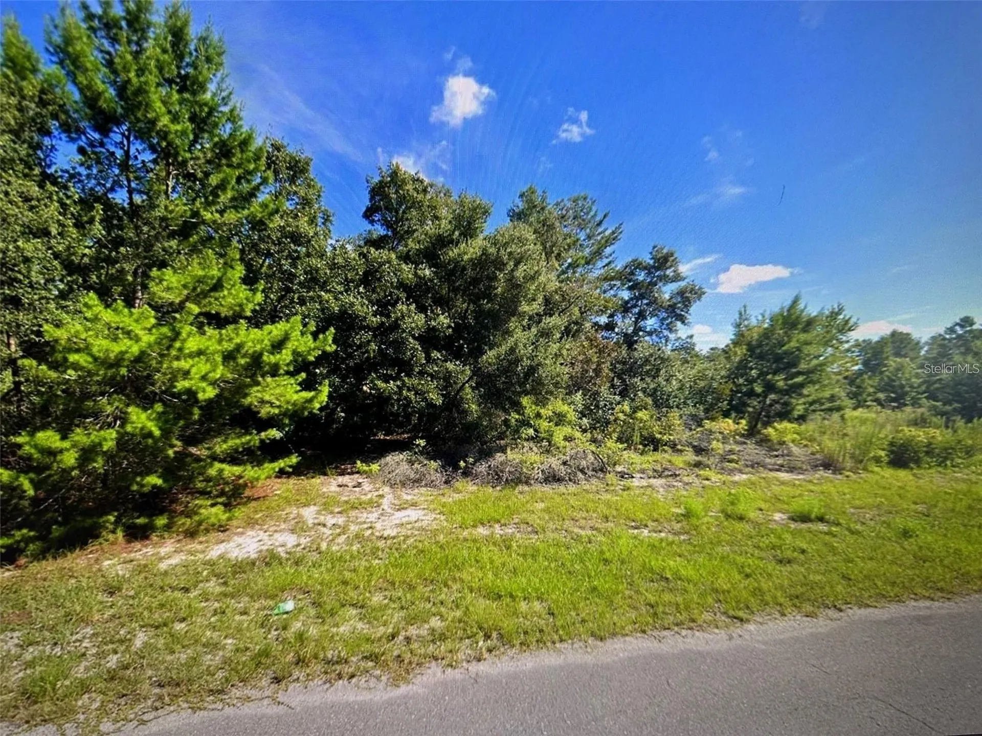 SW 41st Court Ocala FL 34473