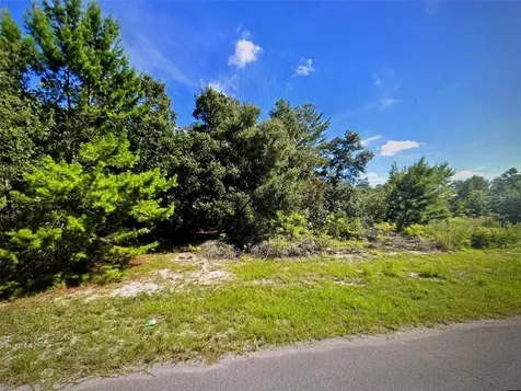 SW 41st Court Ocala FL 34473