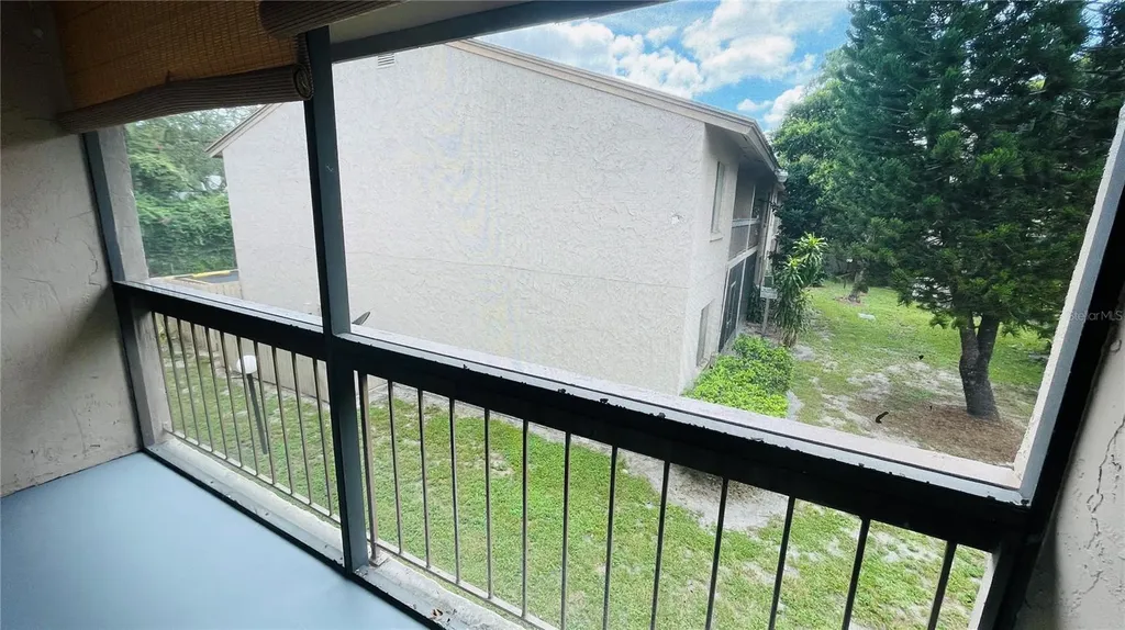 7504 Needle Leaf Place Tampa FL 33617